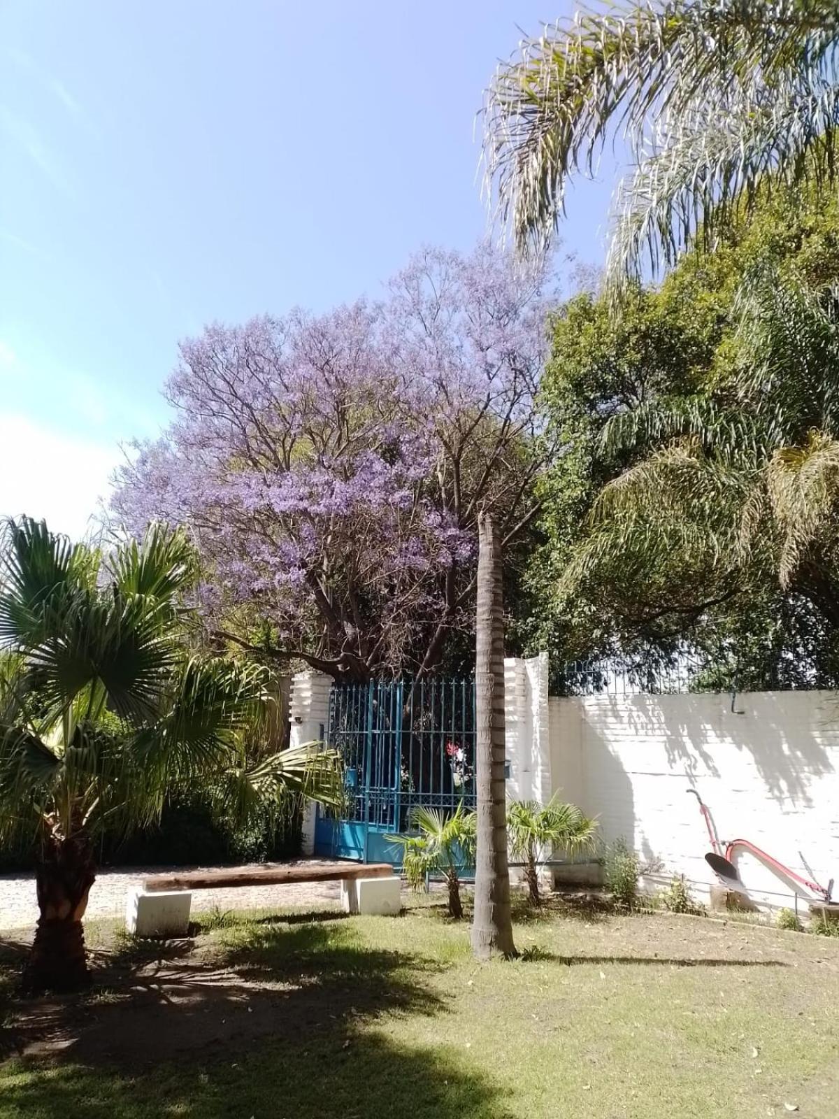 Apart Universidad Río Cuarto エクステリア 写真